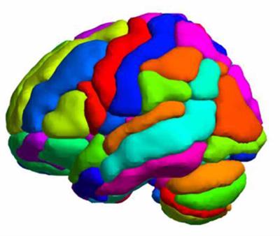 Application of Functional Magnetic Resonance Imaging in the Diagnosis of Parkinson’s Disease: A Histogram Analysis